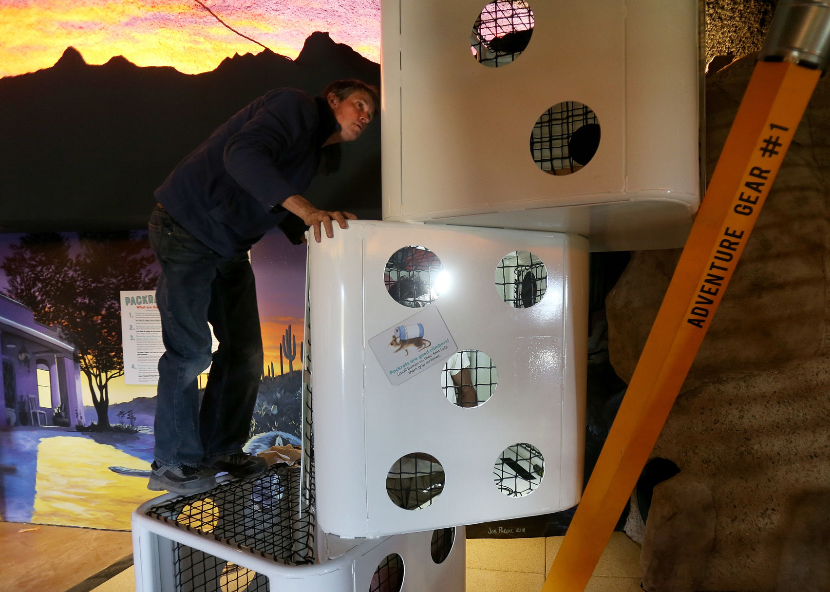 Packrat Playhouse at the Desert Museum